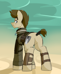 Size: 2500x3000 | Tagged: safe, artist:coatieyay, derpibooru import, oc, oc:paladin, pony, ear piercing, earring, jewelry, leather armor, mad max, male, piercing, tail wrap