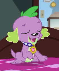 Size: 411x500 | Tagged: safe, derpibooru import, screencap, spike, spike the regular dog, dog, better together, equestria girls, reboxing with spike!, collar, cropped, eyes closed, male, paws, sci-twi's room, smiling, spike's dog collar