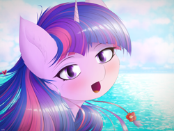 Size: 4000x3000 | Tagged: safe, artist:maneingreen, derpibooru import, twilight sparkle, alicorn, pony, blushing, cheek fluff, ear fluff, female, looking at you, mare, ocean, open mouth, solo