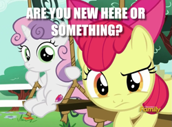 Size: 789x583 | Tagged: safe, derpibooru import, edit, edited screencap, screencap, apple bloom, sweetie belle, on your marks, discovery family logo, duo, image macro, looking at you, meme, question, swing, text