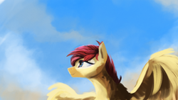 Size: 1920x1080 | Tagged: safe, artist:hierozaki, derpibooru import, oc, oc:sunstrider, pegasus, pony, flying, sky, smiling, solo