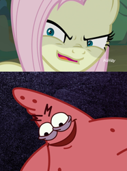 Size: 918x1232 | Tagged: safe, derpibooru import, mean fluttershy, the mean 6, clone, comparison, creepy, evil grin, faic, grin, nature pants, patrick star, savage, savage patrick, smiling, spongebob squarepants