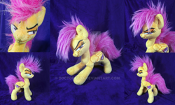 Size: 1024x614 | Tagged: safe, artist:doctorkoda, derpibooru import, scootaloo, pony, irl, older, older scootaloo, photo, plushie, smiling, smirk, solo