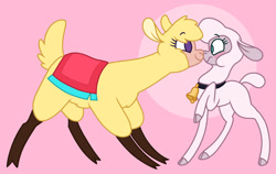 Size: 1280x807 | Tagged: safe, artist:sandwichbuns, derpibooru import, paprika paca, pom lamb, alpaca, sheep, them's fightin' herds, bell, blushing, boop, cloven hooves, community related, duo, eye contact, looking at each other, noseboop, simple background