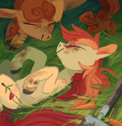 Size: 1000x1034 | Tagged: safe, artist:sterfler, derpibooru import, carrot top, golden harvest, roseluck, earth pony, pony, carrot, dirty hooves, duo, female, food, grass, hoe, lying down, sleeping