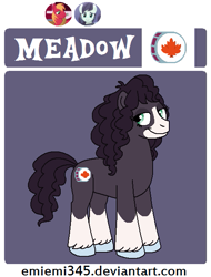 Size: 479x630 | Tagged: safe, artist:emiemi345, derpibooru import, oc, oc only, oc:meadow, earth pony, pony, blaze (coat marking), female, mare, offspring, parent:big macintosh, parent:coloratura, parents:raramac, reference sheet, socks (coat marking), solo, unshorn fetlocks