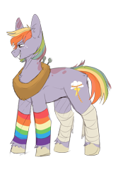 Size: 1024x1536 | Tagged: safe, artist:little-macrophage, derpibooru import, oc, oc only, oc:apple sorbet, earth pony, pony, bandage, clothes, female, freckles, mare, offspring, parent:big macintosh, parent:rainbow dash, parents:rainbowmac, rainbow hair, rainbow socks, simple background, socks, solo, striped socks, transparent background, unshorn fetlocks, yoke