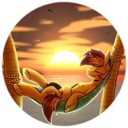 Size: 971x971 | Tagged: safe, artist:ak4neh, derpibooru import, oc, oc only, oc:sharkbutt, pony, unicorn, hammock, male, palm tree, scenery, solo, stallion, sunset, tree