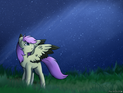 Size: 1600x1200 | Tagged: safe, artist:mariashapony, derpibooru import, oc, oc:mariasha, pegasus, pony, female, grass, night, night star, sad, solo, stars, wings