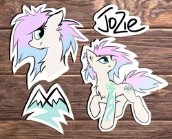 Size: 1942x1569 | Tagged: safe, artist:kejifox, derpibooru import, oc, oc:jozie, cutie mark, female, reference sheet, wooden background