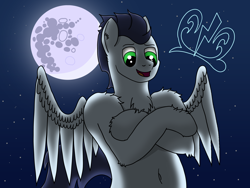Size: 4032x3024 | Tagged: safe, artist:tacomytaco, derpibooru import, soarin', pegasus, pony, belly button, bipedal, chest fluff, crossed arms, fluffy, full moon, male, mare in the moon, moon, night, spread wings, stars, wings