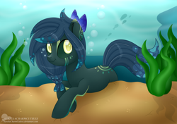 Size: 5069x3559 | Tagged: safe, artist:raspberrystudios, derpibooru import, oc, oc only, oc:neptune, fish, pony, commission, looking at you, resting, seaweed, underwater