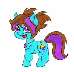 Size: 3899x3819 | Tagged: safe, artist:dawn-designs-art, derpibooru import, oc, oc only, oc:dawn, earth pony, pony, blue coat, brown mane, female, filly, jewelry, necklace, purple eyes, solo, traditional art