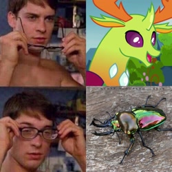 Size: 1564x1564 | Tagged: safe, derpibooru import, edit, edited screencap, screencap, thorax, beetle, changedling, changeling, human, insect, cropped, cute, glasses, happy, irl, irl human, king thorax, male, meme, open mouth, peter parker, photo, shiny, smiling, spider-man, stag beetle, that explains everything, thorabetes, wat