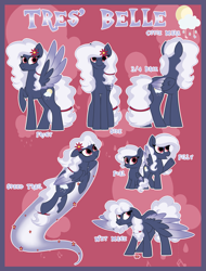 Size: 1675x2200 | Tagged: safe, artist:missmele-madness, derpibooru import, oc, oc:tres belle, pegasus, pony, female, filly, mare, reference sheet, show accurate, solo, two toned wings