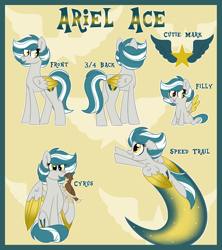 Size: 1600x1800 | Tagged: safe, artist:missmele-madness, derpibooru import, oc, oc:ariel ace, oc:cyrus, pegasus, pony, female, filly, mare, pet, pet oc, reference sheet, show accurate, solo, two toned wings