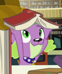 Size: 328x389 | Tagged: safe, derpibooru import, screencap, spike, spike the regular dog, dog, better together, equestria girls, forgotten friendship, book, cute, male, smiling, spikabetes