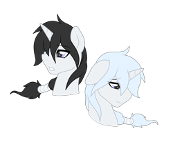 Size: 5750x4805 | Tagged: safe, artist:darkstorm mlp, derpibooru import, oc, oc:wishing star, absurd resolution, black mane, simple background, transparent background, white mane