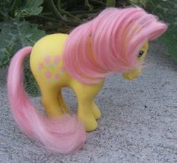 Size: 450x415 | Tagged: safe, derpibooru import, posey, pony, g1, irl, photo, solo, toy