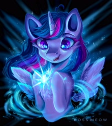 Size: 2500x2800 | Tagged: safe, artist:bossmeow, derpibooru import, twilight sparkle, twilight sparkle (alicorn), alicorn, pony, bust, crystal, eye reflection, reflection, solo