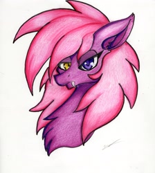 Size: 2455x2741 | Tagged: safe, artist:luxiwind, derpibooru import, oc, oc:crimson night, earth pony, pony, bust, female, mare, portrait, solo, traditional art