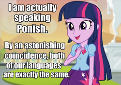 Size: 760x534 | Tagged: safe, derpibooru import, twilight sparkle, twilight sparkle (alicorn), alicorn, equestria girls, rainbow rocks, coincidence, image macro, kang, meme, the simpsons