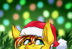 Size: 2000x1364 | Tagged: safe, artist:drizziedoodles, derpibooru import, oc, oc only, oc:honey drizzle, christmas, christmas lights, evil grin, grin, hat, holiday, male, santa hat, smiling, solo