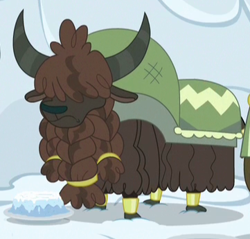 Size: 361x345 | Tagged: safe, derpibooru import, screencap, yak, not asking for trouble, background yak, braided beard, cloven hooves, cropped, frown, hair over eyes, snow cake, solo