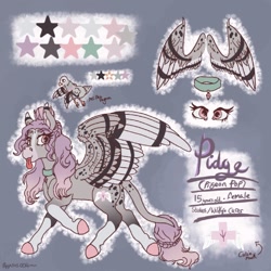 Size: 768x768 | Tagged: safe, artist:pegasus004, derpibooru import, oc, oc:pigeon pop, bird, pegasus, pigeon, pony, coat markings, collar, reference, reference sheet, spots, tongue out