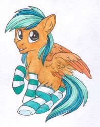 Size: 796x1013 | Tagged: safe, artist:red plume, derpibooru import, oc, oc only, oc:naarkerotics, clothes, socks, solo, striped socks, traditional art