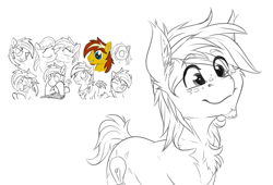 Size: 2160x1465 | Tagged: safe, artist:drizziedoodles, derpibooru import, oc, oc only, oc:honey drizzle, facial hair, freckles, male, redraw, sketch, sketch dump, solo, stallion