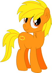 Size: 3551x5020 | Tagged: safe, artist:cyanlightning, derpibooru import, oc, oc only, oc:boon, earth pony, pony, .svg available, 2019 community collab, absurd resolution, chest fluff, derpibooru community collaboration, ear fluff, male, simple background, solo, stallion, transparent background, vector