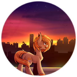 Size: 963x963 | Tagged: safe, artist:ak4neh, derpibooru import, oc, oc only, oc:parlay, earth pony, pony, city, female, mare, solo, sunset