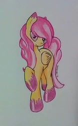 Size: 598x960 | Tagged: safe, artist:matmax426, derpibooru import, oc, oc only, pegasus, pony, female, mare, solo