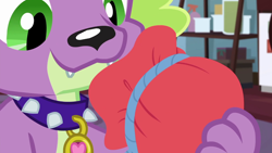 Size: 1280x720 | Tagged: safe, derpibooru import, screencap, spike, spike the regular dog, dog, better together, equestria girls, reboxing with spike!, male, paws, spike's dog collar