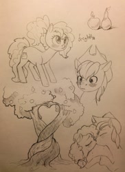 Size: 931x1280 | Tagged: safe, artist:theorderofalisikus, derpibooru import, bright mac, pear butter, earth pony, pony, apple, apple tree, blushing, brightbutter, crying, female, food, intertwined trees, kissing, male, mare, monochrome, pear, pear tree, pencil drawing, shipping, simple background, stallion, straight, traditional art, tree, white background