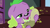 Size: 1280x720 | Tagged: safe, derpibooru import, screencap, spike, spike the regular dog, dog, better together, equestria girls, reboxing with spike!, dirty sock, male, paws, smelly