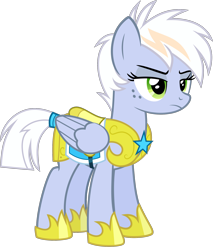 Size: 1700x2000 | Tagged: safe, artist:whalepornoz, derpibooru import, oc, oc only, oc:blizzard cloud, pegasus, pony, armor, female, freckles, guardsmare, mare, offspring, parent:fleetfoot, royal guard, simple background, solo, transparent background