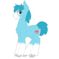 Size: 3840x3840 | Tagged: safe, artist:glacierfrostclaw, derpibooru import, oc, oc:puff the short leg, pony, male, short leg, simple background, stallion, transparent background, unshorn fetlocks