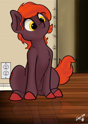 Size: 2050x2891 | Tagged: safe, artist:greyscaleart, derpibooru import, oc, oc only, oc:oblivia, earth pony, pony, chest fluff, cute, electrical outlet, female, frown, growth chart, looking down, mare, ocbetes, pose, raised eyebrow, reflection, signature, sitting, size chart, size comparison, solo, unshorn fetlocks