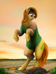 Size: 750x1000 | Tagged: safe, artist:geoffrey mcdermott, derpibooru import, carrot top, golden harvest, earth pony, pony, carrot, clothes, field, food, human to pony, looking down, open mouth, pants, shirt, solo, standing, transformation