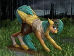 Size: 1000x750 | Tagged: safe, artist:geoffrey mcdermott, derpibooru import, sunshower raindrops, pegasus, pony, all fours, clothes, floppy ears, fluffy, hoofprints, human to pony, looking back, open mouth, rain, ripping clothes, shirt, short, socks, solo, transformation