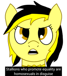 Size: 1117x1280 | Tagged: safe, artist:anonymous, derpibooru import, oc, oc:leslie fair, pony, /mlpol/, angry, equality, homosexuality, implied gay, memri tv, ponified