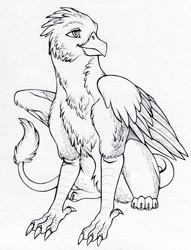 Size: 1234x1619 | Tagged: safe, artist:furrypur, derpibooru import, oc, oc only, oc:der, griffon, male, monochrome, sitting, solo, traditional art