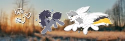 Size: 1500x500 | Tagged: safe, artist:hioshiru, derpibooru import, oc, oc:kate, oc:kej, pony, banner, k+k