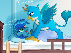 Size: 1024x768 | Tagged: safe, artist:colorfulcolor233, derpibooru import, gallus, oc, griffon, pony, bed, covers, ladder, male, stallion