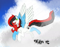 Size: 2000x1550 | Tagged: safe, artist:kensynvalkry, derpibooru import, oc, pegasus, pony, pegasus oc, raffle prize, wings