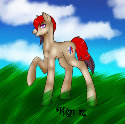 Size: 1754x1742 | Tagged: safe, artist:kensynvalkry, derpibooru import, oc, earth pony, pony, earth pony oc, gift art