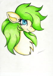 Size: 2460x3486 | Tagged: safe, artist:luxiwind, derpibooru import, oc, oc:humming wind, pony, bust, female, mare, portrait, solo, traditional art