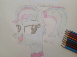 Size: 1280x957 | Tagged: safe, artist:didgereethebrony, derpibooru import, oc, oc:windbreaker, pony, female, hand drawing, mare, pencil drawing, signature, solo, traditional art